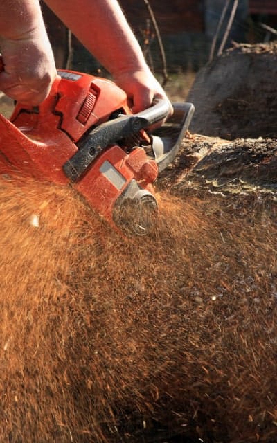 tools img saw 1
